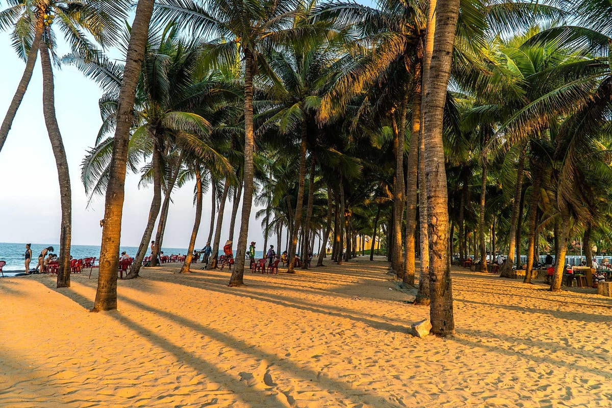 Cua Dai Beach is known for its long sandy shore, peaceful waves, and wide-open views of the East Sea 